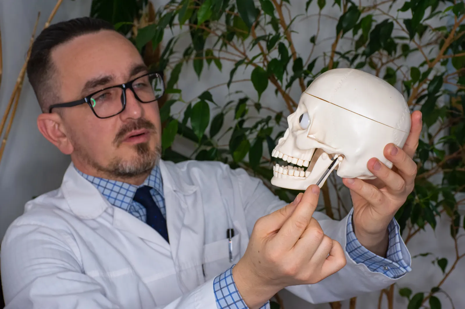 Man in white coat and glasses examining a plastic skull model, pointing at the jaw joint.